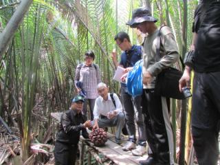 Jepang Puji Stasiun Riset Bioethanol Bengkalis